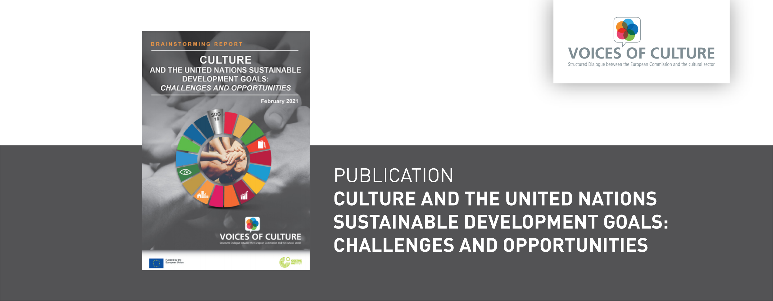 Rapport - Voices of Culture