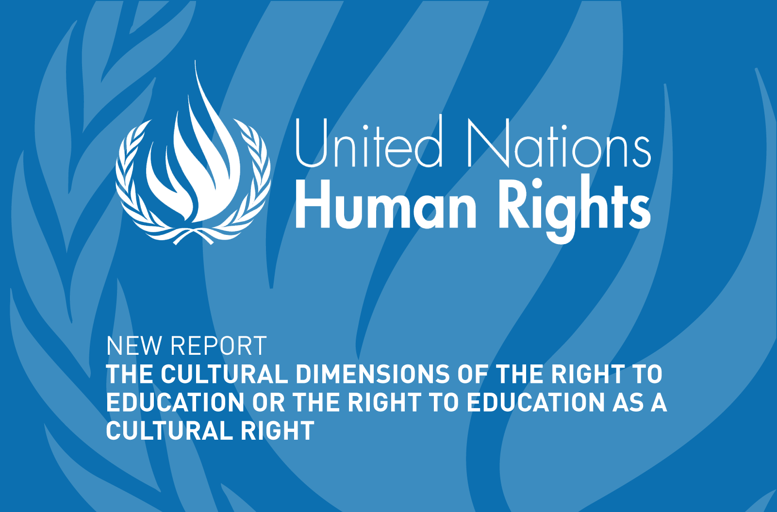 New report on the right to education as a cultural right