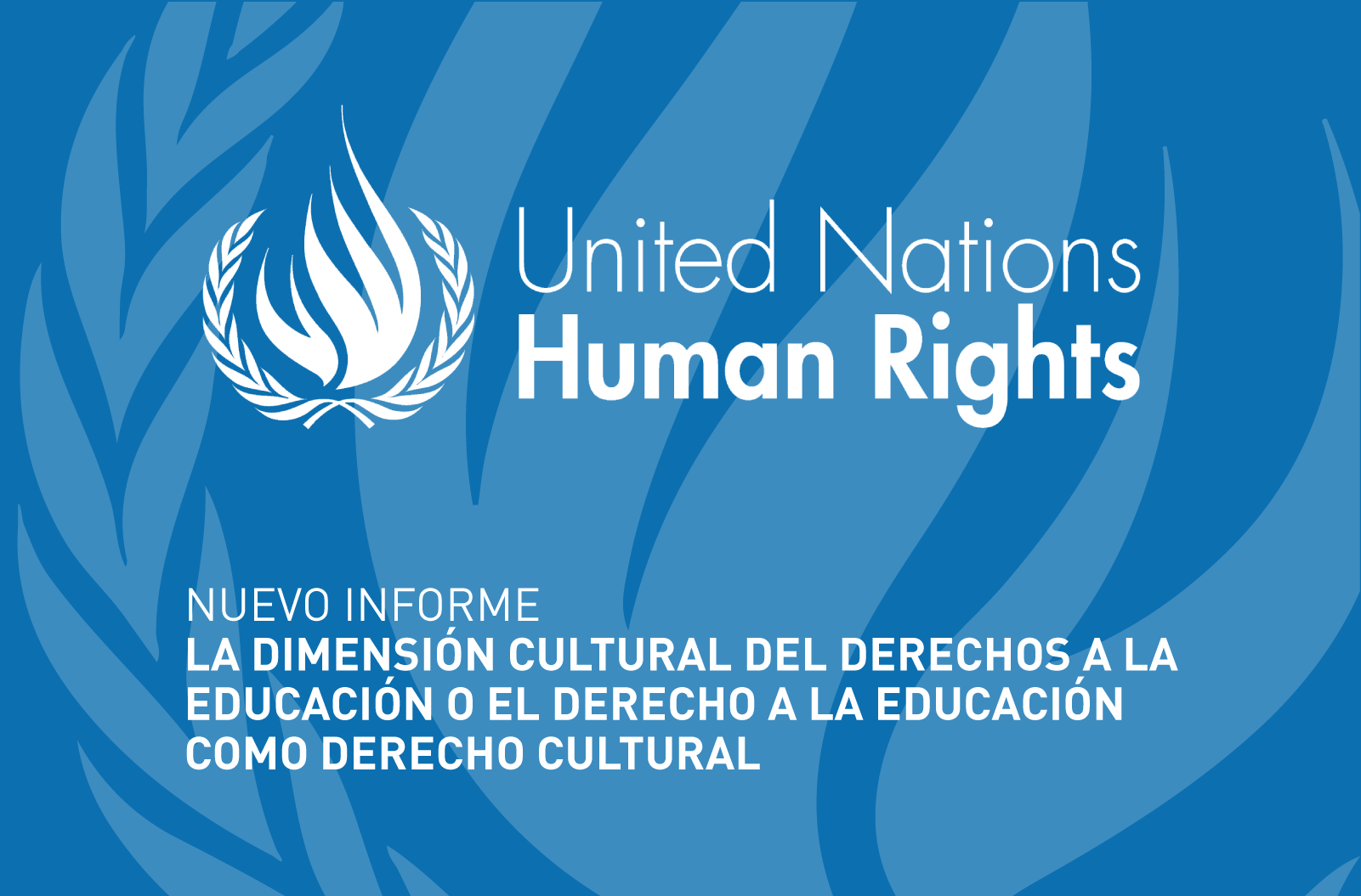 Nuevo informe sobre el derecho a la educación como derecho cultural