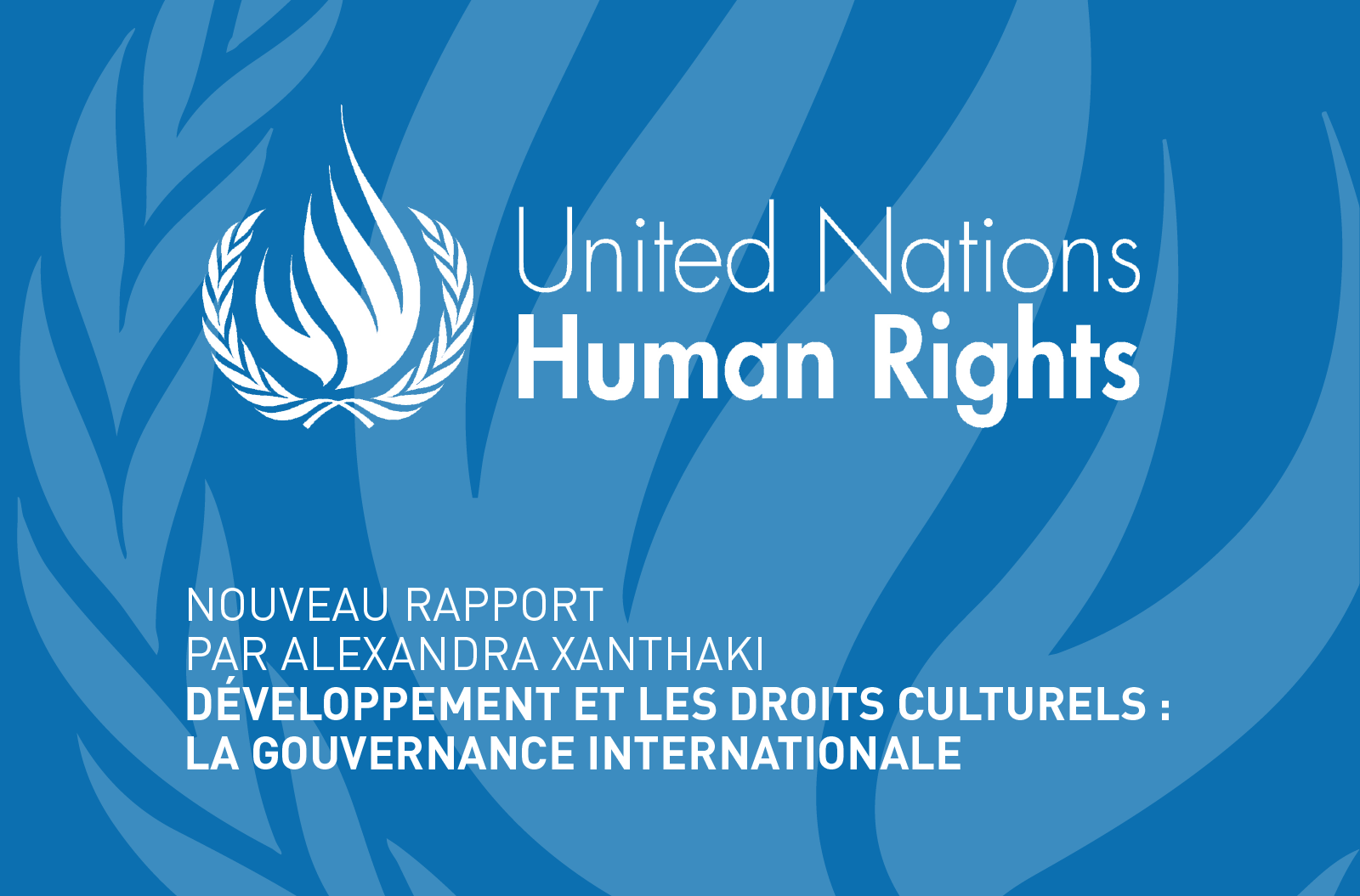 Nouveau rapport de la UNSRCR