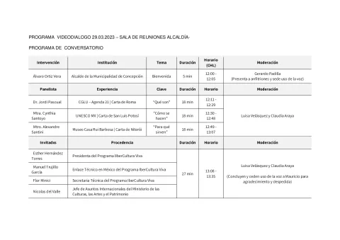 programa_videodialogo_29_2_2__es.pdf