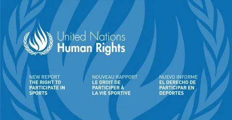 New UNSRCR report