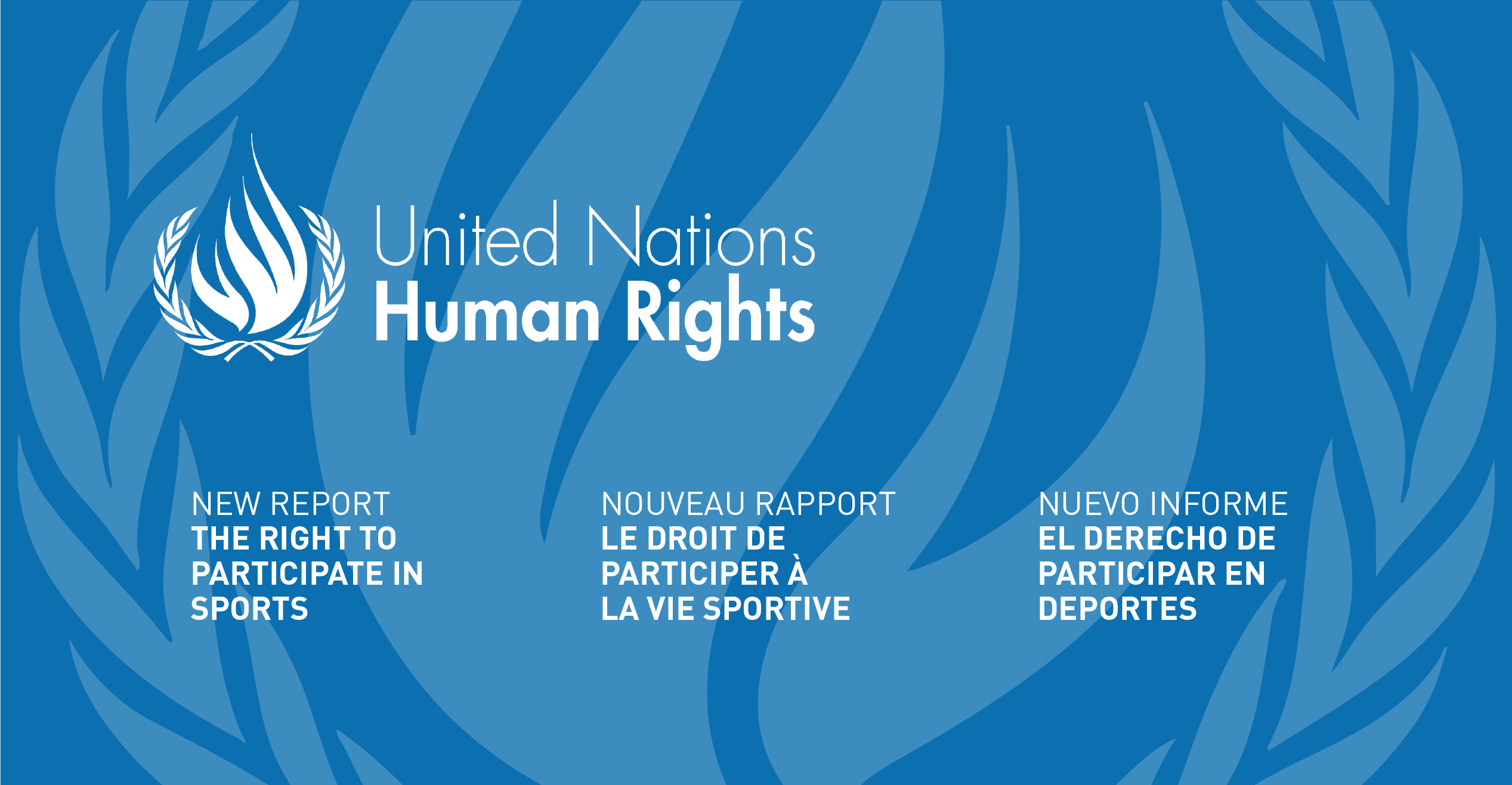 Nouveau rapport de la UNSRCR