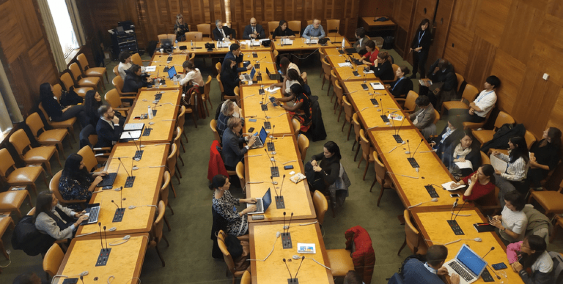 Contribute of the UN OHCHR next report